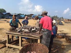 -尼甘布海鲜市场