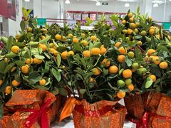 -山姆会员商店(邻瑞广场店)