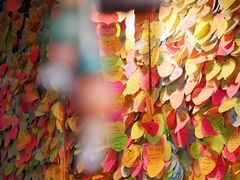 -阿信厚吐司(曾厝垵店)