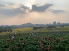 -光明小镇欢乐田园