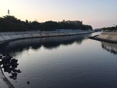 -万绿园