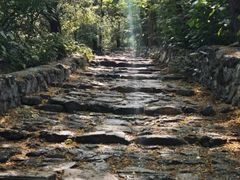 -阳台山自然风景区