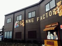 -济州岛泰迪熊博物馆