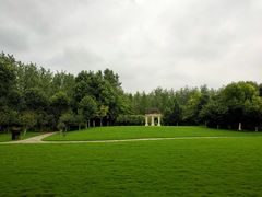 -合肥滨湖国家森林公园