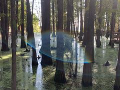 -东湖落雁景区