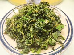 乡野灰灰菜-左陕右甘(亚运村店)