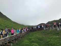 -长白山吉祥物天池水怪专卖