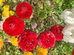 -元大都城垣遗址公园