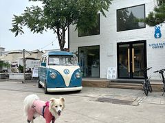 -小意思咖啡店(草桥店)