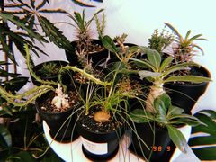 -收获咖啡HARVEST RESERVE(苍山店)