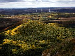 -塞罕坝国家级自然保护区