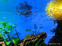 -太平洋海底世界