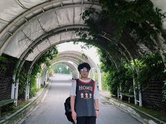 -紫颐香薰山谷景区