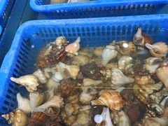 -必点海鲜·鲅鱼水饺(鞍山西道店)