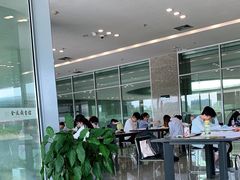 -金陵图书馆
