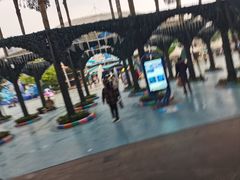 -海合安成都极地海洋公园