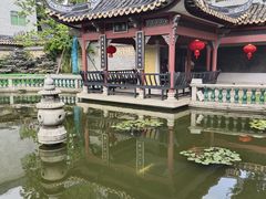 -碧江金楼