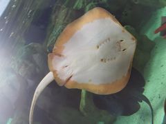 -珠海长隆海洋王国