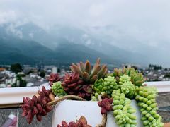 -唐咖精品咖啡(大理古城手冲店)