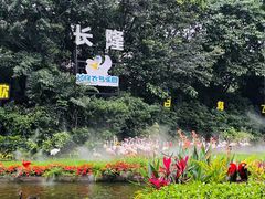 -广州长隆飞鸟乐园