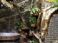 -徐鼎盛民间菜(上筑店)