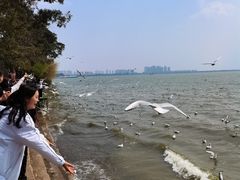 -滇池海埂公园