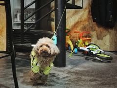 -CrossFit MeWellness