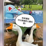 六一遛娃！可以喂小动物，可以穿越的儿童乐园[偷笑]