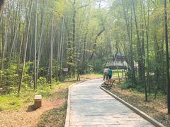 -青龙山国家森林公园