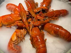 -红盔甲·小龙虾(崂山路店)