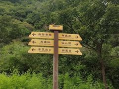 -老象峰