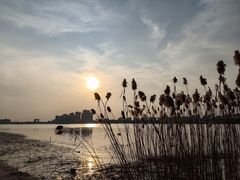 -上海山野camping·户外天幕烧烤·团建拓展营地