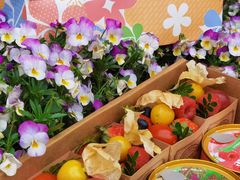 -花花卷卷·鲜食蛋糕(静安久光百货店)