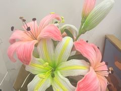 -鱼酷活鱼烤鱼(张江长泰店)
