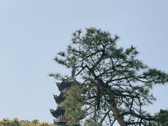 -龙华寺
