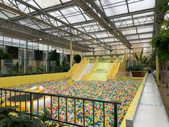 -南宫五洲植物乐园