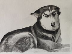 -信马画室 成人零基础到个人创作画室(亚运村店)