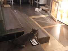 -天井·丑面包搭咖啡