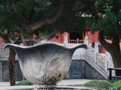 -西安大兴善寺