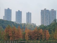 -重庆彩云湖湿地公园