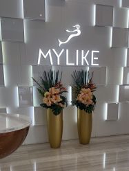 -深圳美莱医疗美容医院