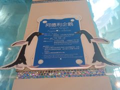 -帝企鹅自助餐厅•儿童岛•真企鹅(长隆企鹅酒店)