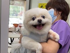 -北京观赏动物医院·24小时大型综合·猫专科·异宠专科