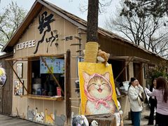 -沂蒙山旅游区云蒙景区(蒙山国家森林公园)