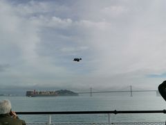 -阿尔卡特拉斯岛