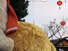 -无锡梅园公园