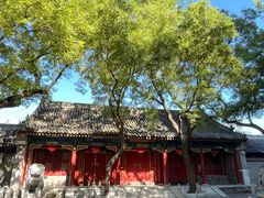 -北京第二实验小学