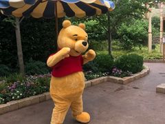 景点-上海迪士尼度假区