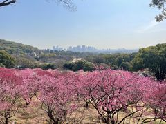 -无锡梅园公园