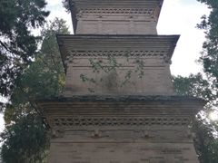 -兴教寺